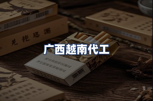 广西越南代工